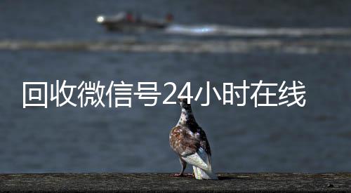 回收微信号24小24小时回收微信时在线秒结（回收微信号平台官网）