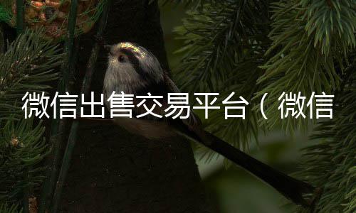 微信出售交易微信高价回收平台（微信出售是真的吗）