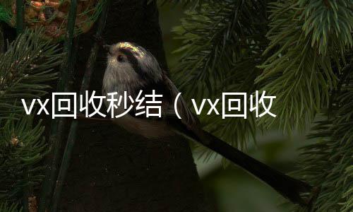 vx回收秒结微信回收秒结（vx回收秒结500）